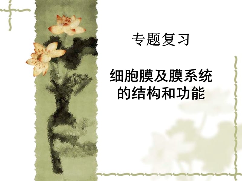 细胞膜及膜系统的结构和功能.ppt_第1页