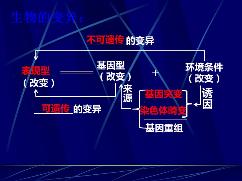 生物变异的来源_第2页