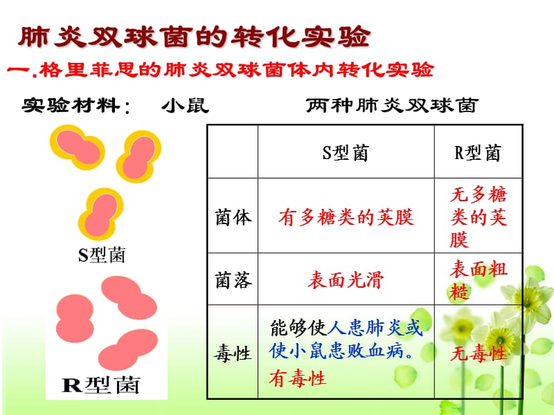 肺炎双球菌的转化实验.ppt_第2页