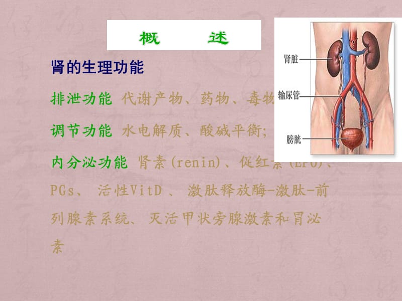 肾功能不全_第3页