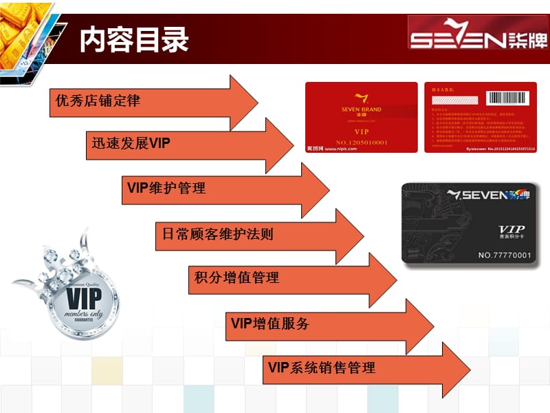 《VIP维护与管理》PPT课件.ppt_第2页