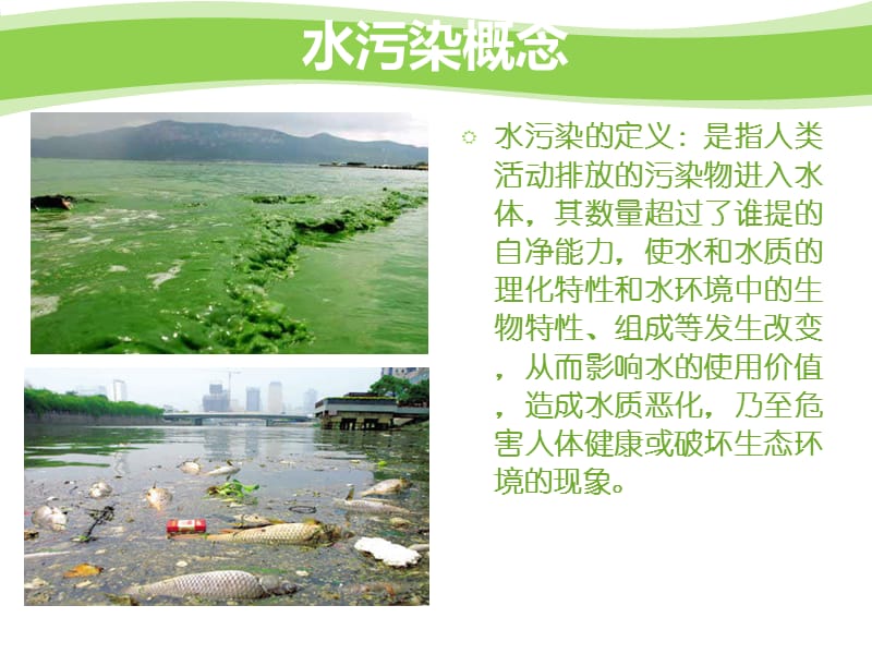 《环境法水污染》PPT课件.ppt_第2页