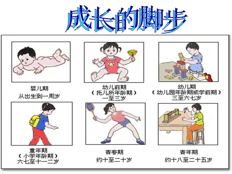 小学六年级青春青春期教育.ppt_第3页