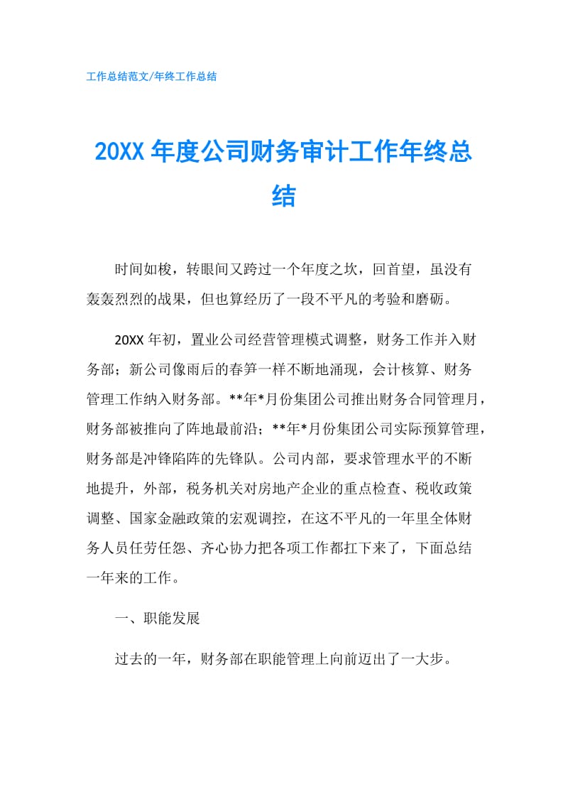 20XX年度公司财务审计工作年终总结.doc_第1页