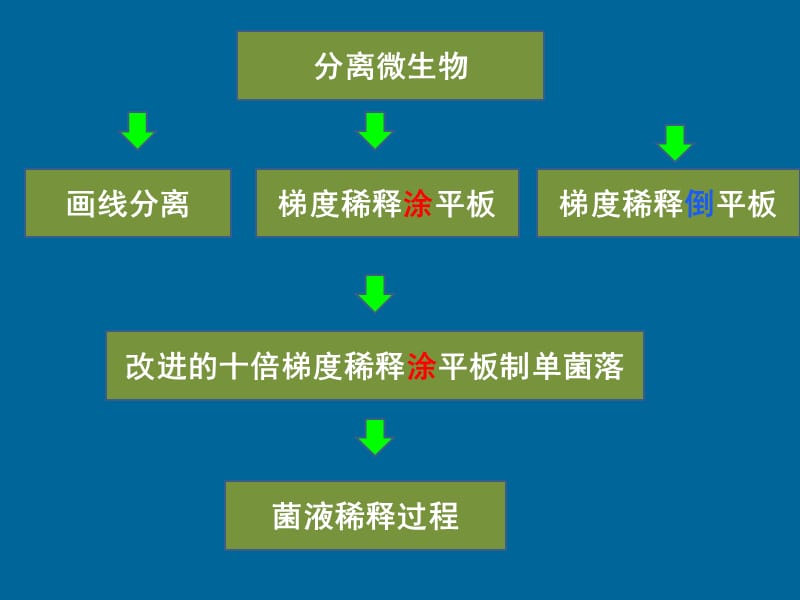 梯度稀释涂平板制单菌落.ppt_第2页