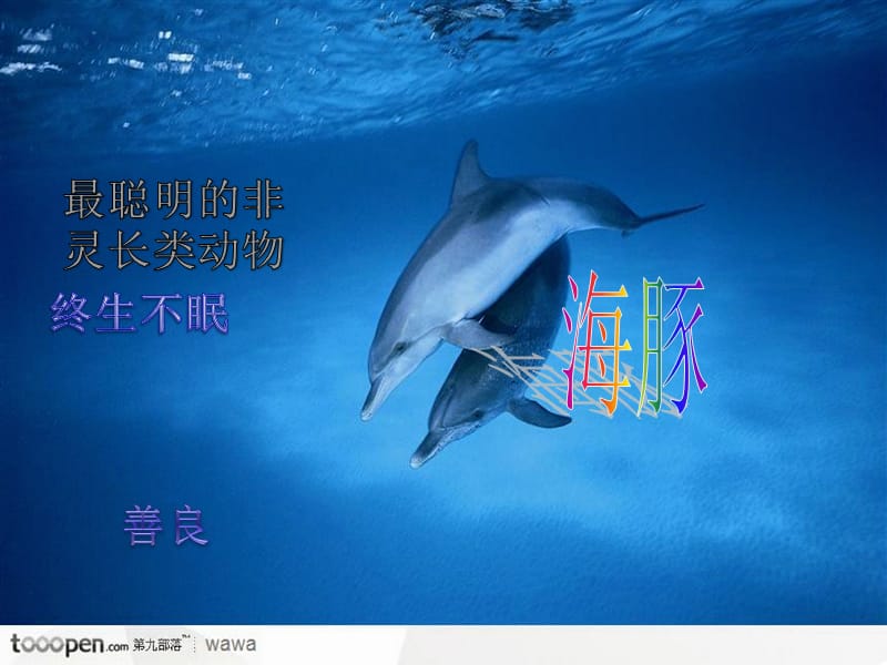 《海洋科普知识》PPT课件.ppt_第2页