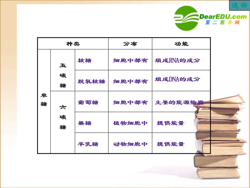 高一生物细胞中的糖类和脂质课件人教版必修.ppt_第3页