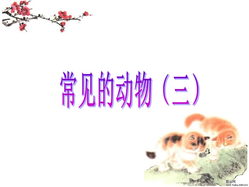 常见的动物(无脊椎动物).ppt_第2页