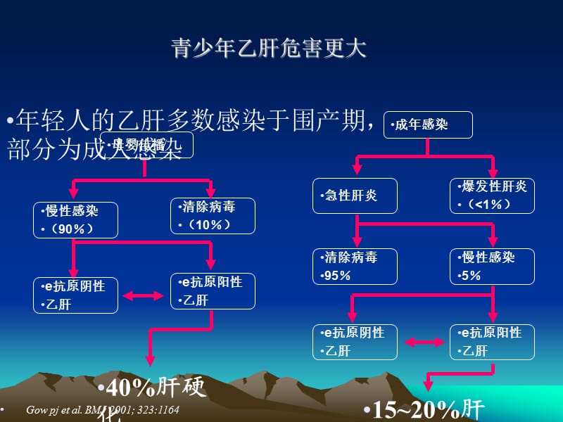 青少年乙肝的特殊性_第3页