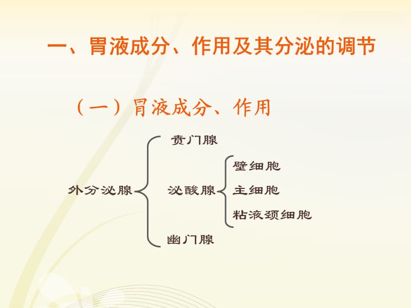 生理学-胃内消化.ppt_第3页