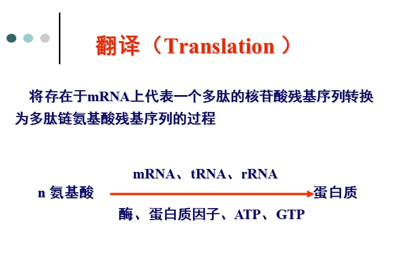 蛋白质生物合成-翻译及翻译后过程.ppt_第2页