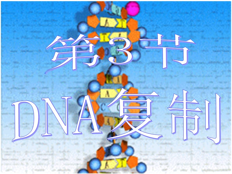 DNA的复制(最全有动画).ppt_第1页
