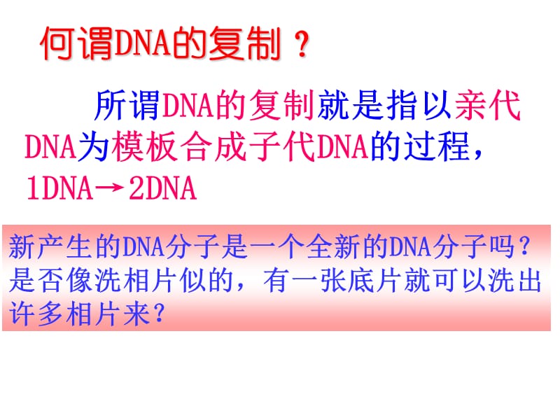 DNA的复制(最全有动画).ppt_第3页