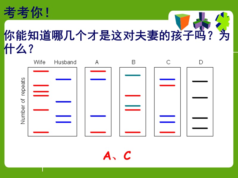 遗传物质的携带者-核酸.ppt_第1页