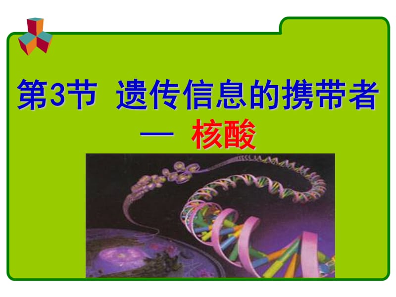 遗传物质的携带者-核酸.ppt_第2页