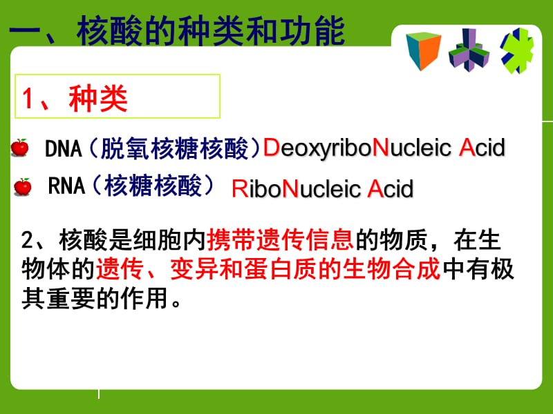 遗传物质的携带者-核酸.ppt_第3页