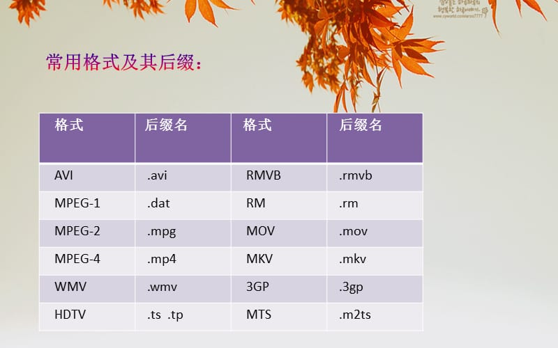 常见的视频格式介绍.ppt_第3页