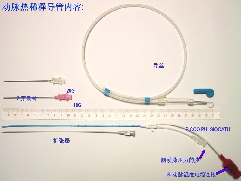 PICCO技术在ICU的应用和护理.ppt_第3页