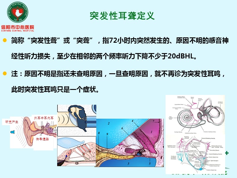 突发性耳聋的诊疗进展及指南解读.ppt_第2页