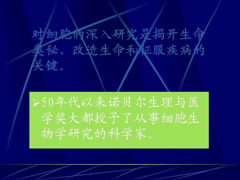 生物竞赛南京大学夏令营细胞课件_第2页