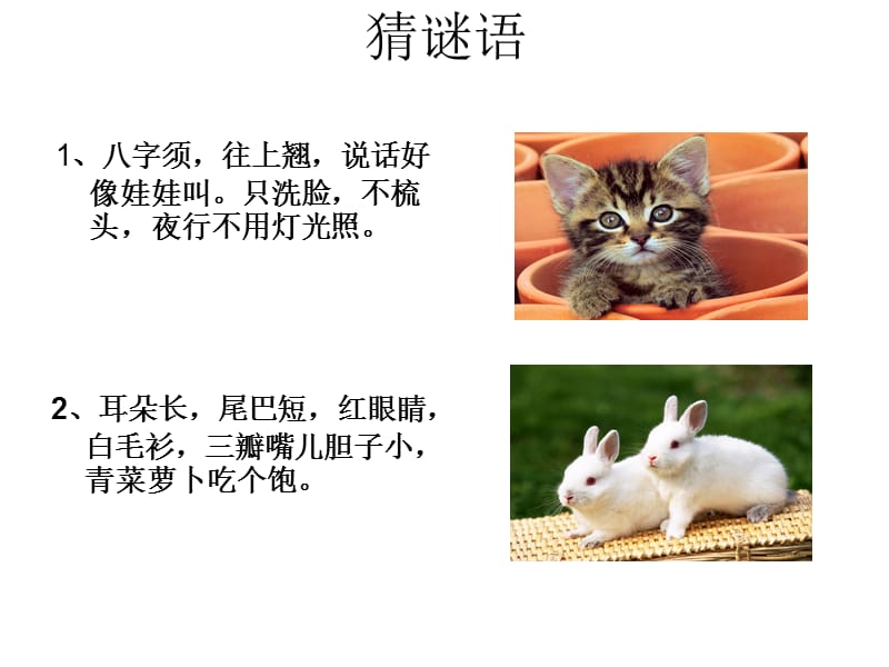 描写小动物的PPT课件zl.ppt_第2页
