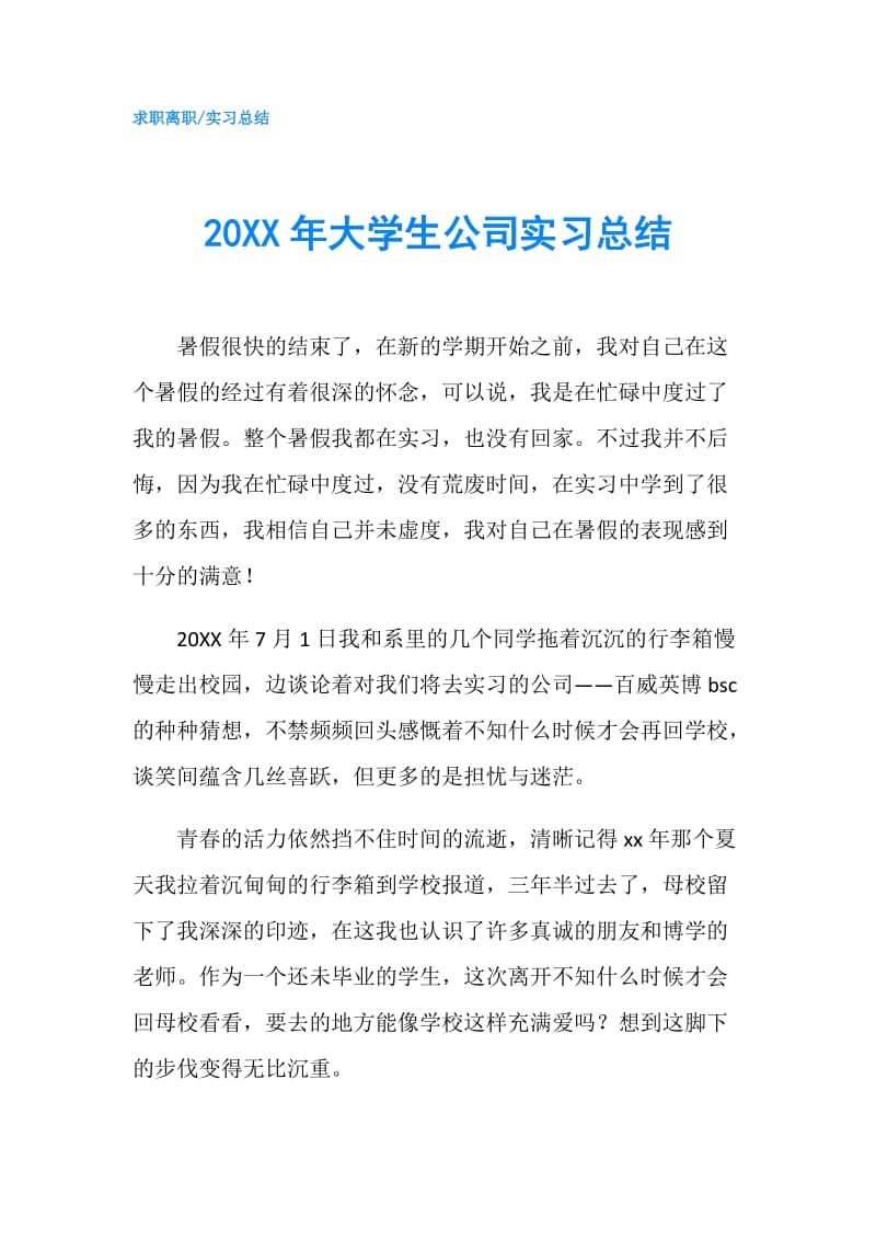 20XX年大学生公司实习总结.doc_第1页