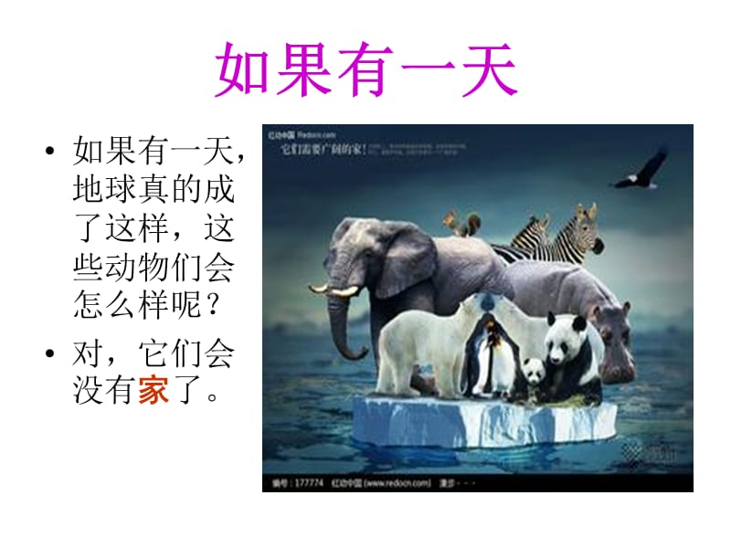 爱护我们共同的家园.ppt_第2页