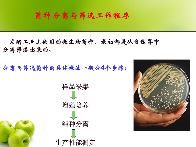 工业微生物产生菌的分离筛选.ppt_第2页