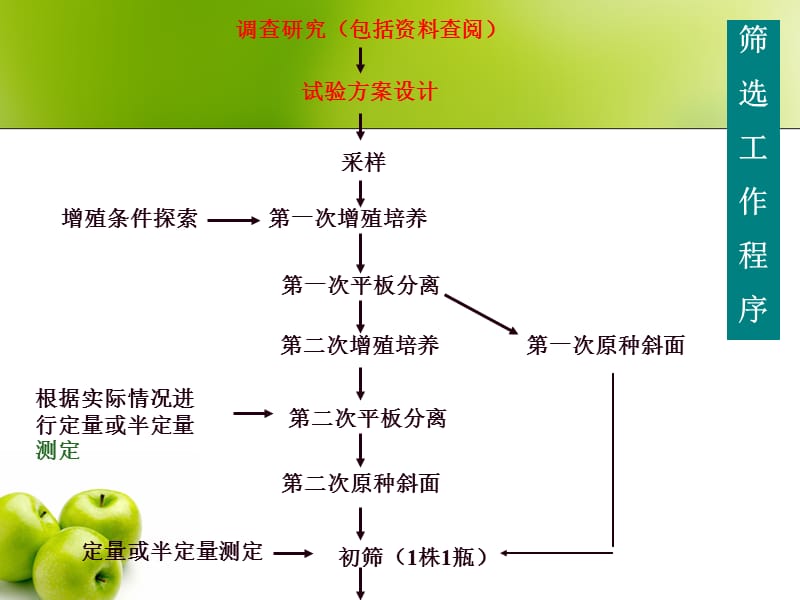 工业微生物产生菌的分离筛选.ppt_第3页