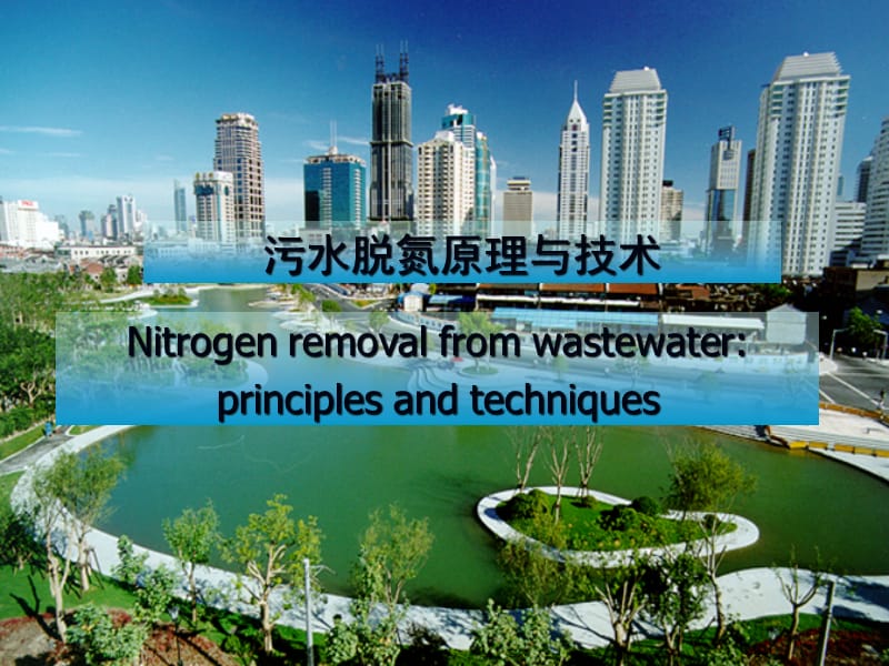 污水脱氮原理与技术.ppt_第1页