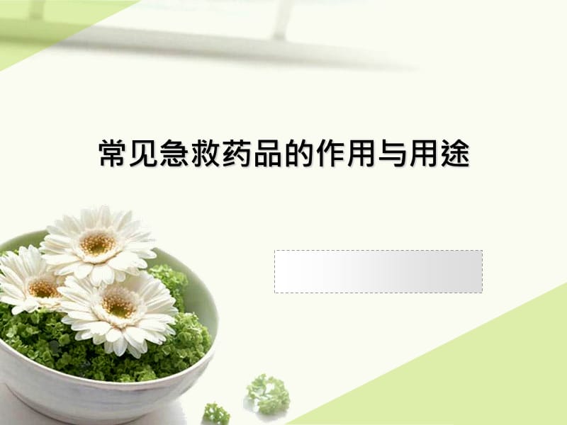 常见急救药品的作用与用途.ppt_第1页