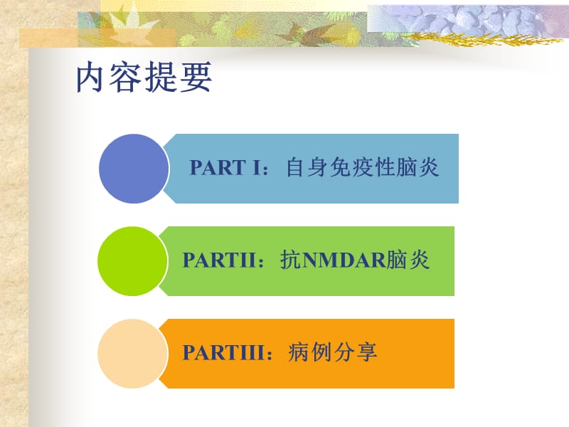 《抗NMDA受体脑炎》PPT课件.ppt_第2页