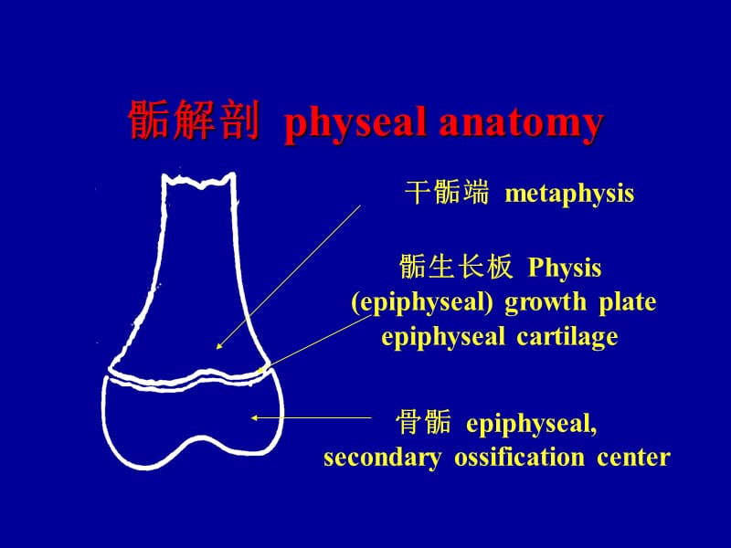 《小儿骨骺损伤》PPT课件.ppt_第3页