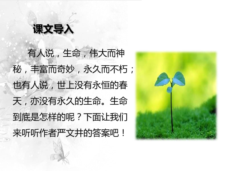 《散文两篇永久的生命》.ppt_第3页