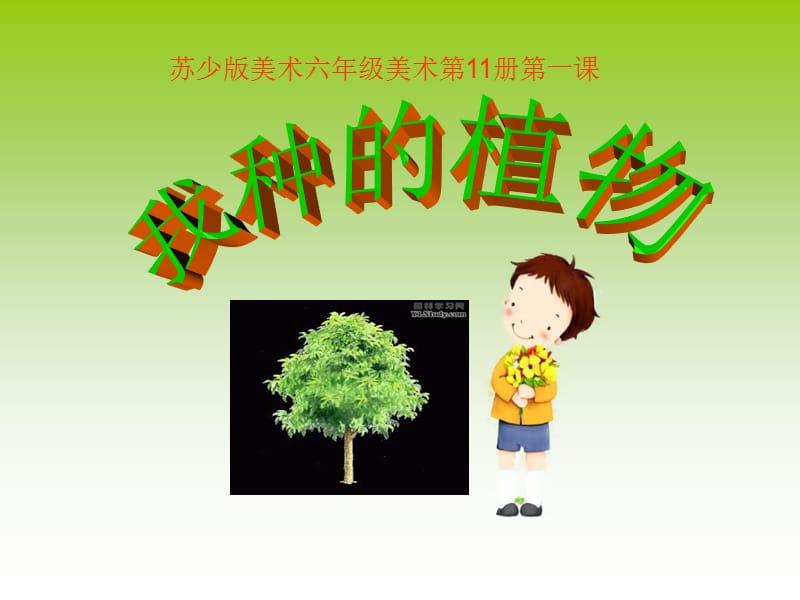 苏少版美术六上《我种的植物》PPT课件.ppt_第1页