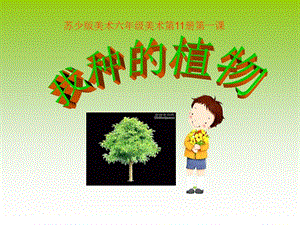 蘇少版美術(shù)六上《我種的植物》PPT課件.ppt