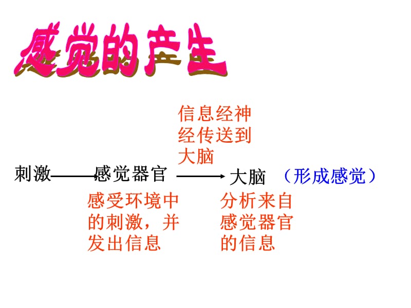 《对环境的察觉》PPT课件.ppt_第3页