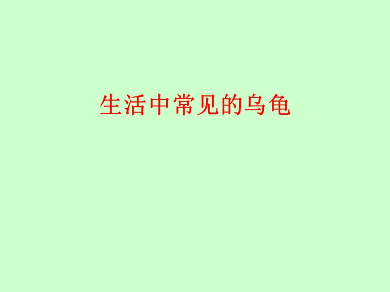 生活中常见的乌龟.ppt_第1页