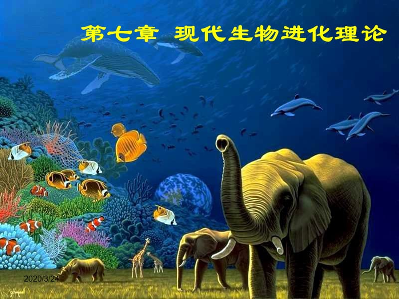 现代生物进化理论一轮复习.ppt_第1页