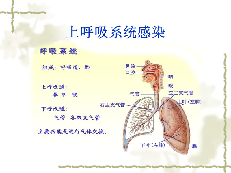 幼儿园常见传染病ppt课件.ppt_第2页