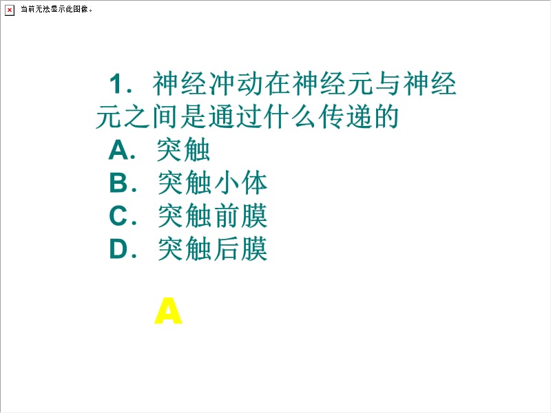 物质跨膜运输的方式(有动画).ppt_第2页