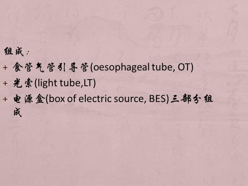 盲探气管插管装置_第2页