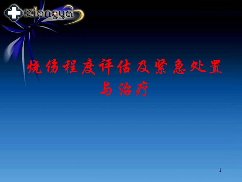 烧伤适宜技术ppt课件_第1页