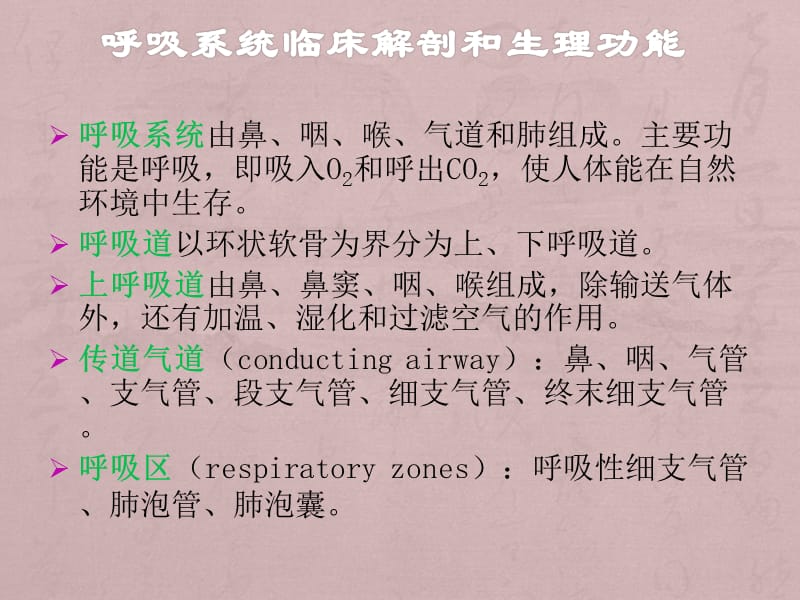 医学影像解剖-胸部_第3页