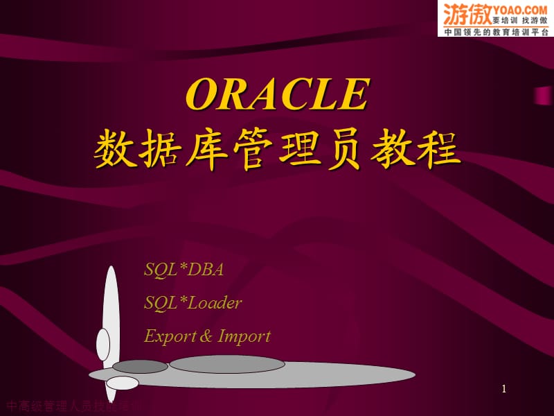 ORACLE数据库管理员教程).ppt_第1页