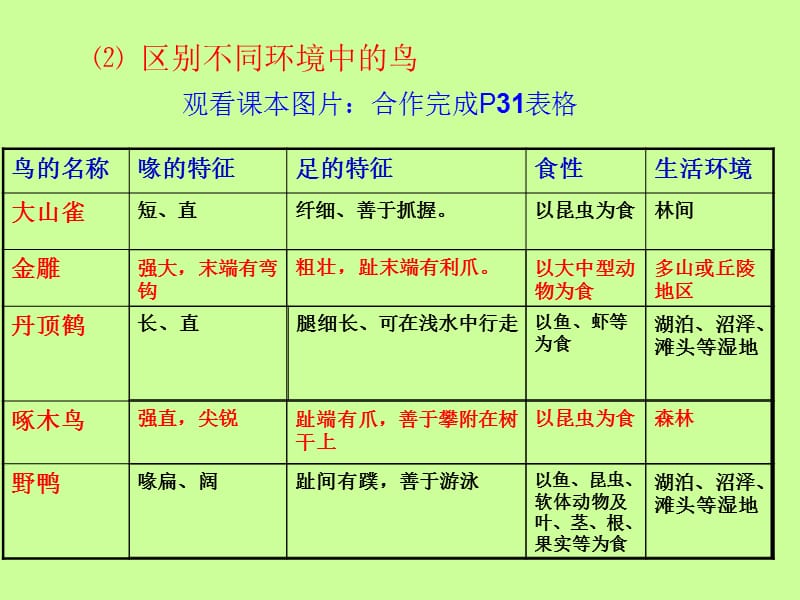 新人教版八年级生物鸟.ppt_第3页