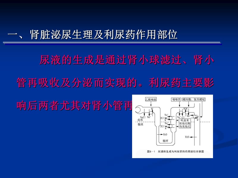 利尿、脱水及降颅压药物_第3页