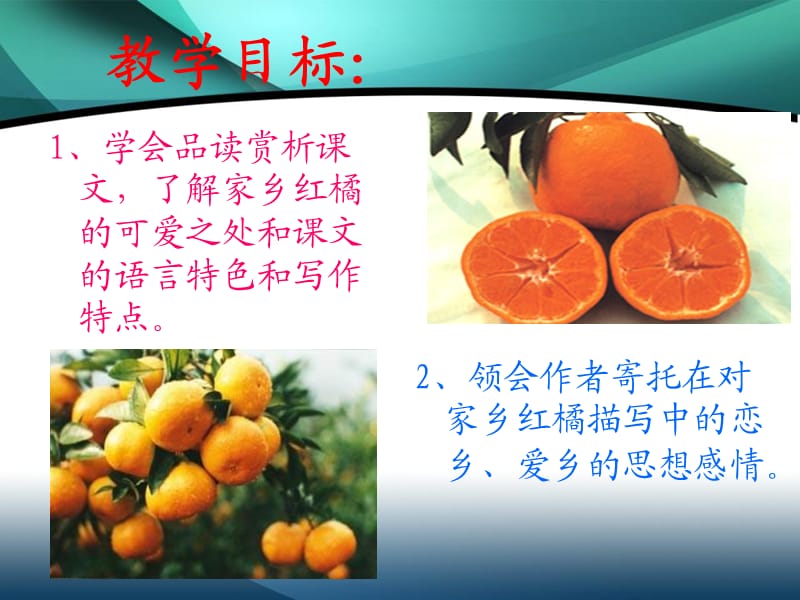 《家乡的红橘》PPT课件.ppt_第2页