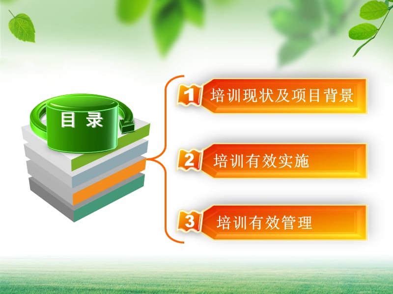 教师培训项目的有效实施与管理.ppt_第2页