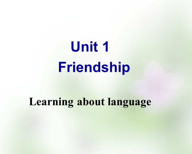 高一英语必修一unit1-Friendship第一单元语法.ppt_第1页